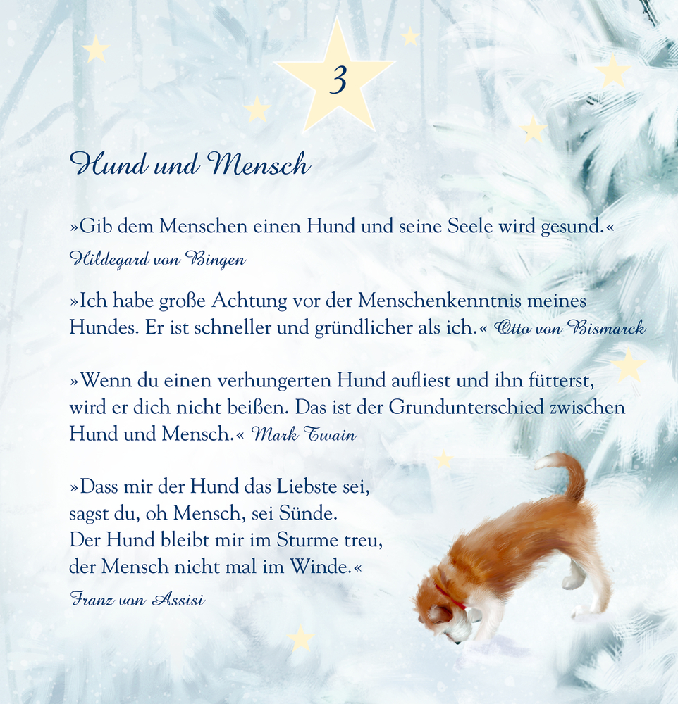 Illustration eines braun-weißen Hundes im Schnee mit Tannenzweigen und Sternen im Hintergrund, Text mit Zitaten über Hunde.