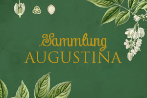 Sammlung Augustina