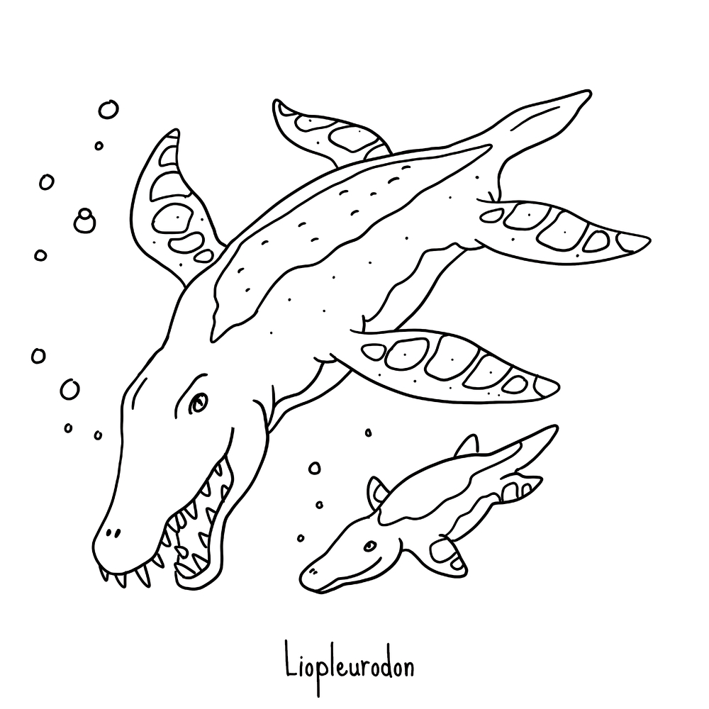 Zwei Liopleurodons mit vier Flossen schwimmen unter Wasser. Einer ist größer. Beide zeigen scharfe Zähne.