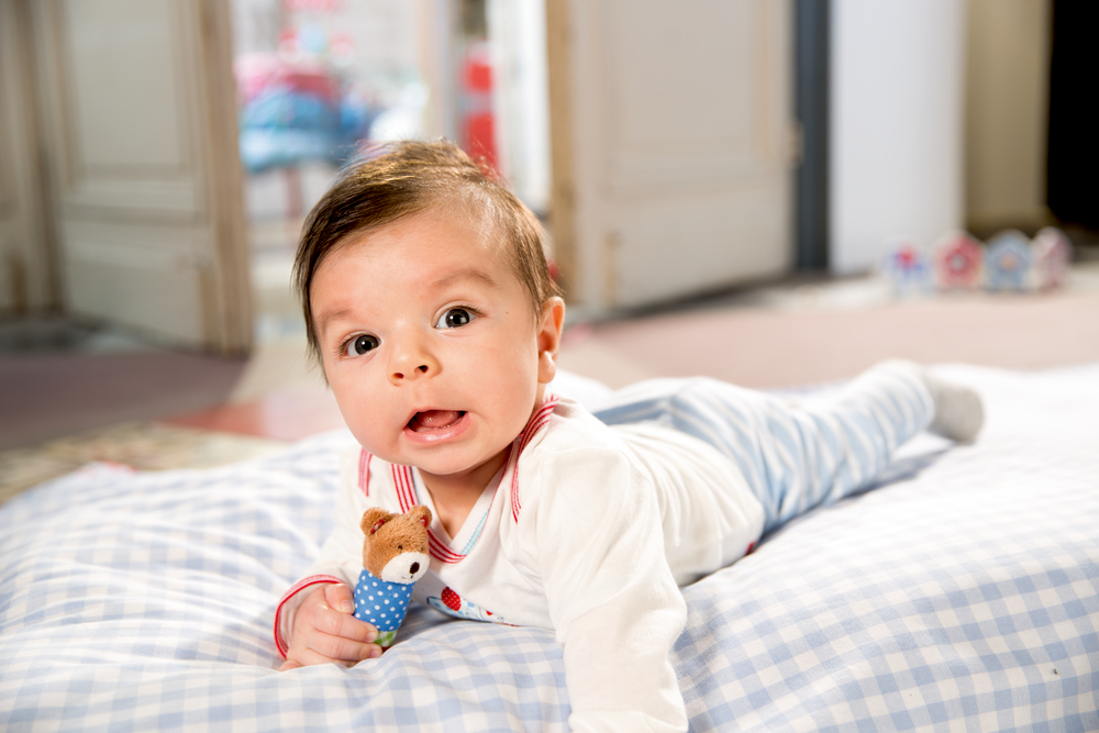 Minirassel Lamm Lieblingstiere BabyGlück