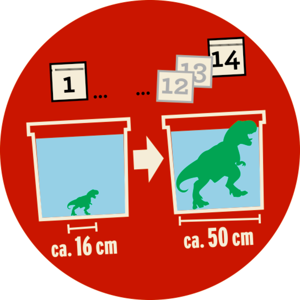 Riesen-T-Rex  T-Rex World