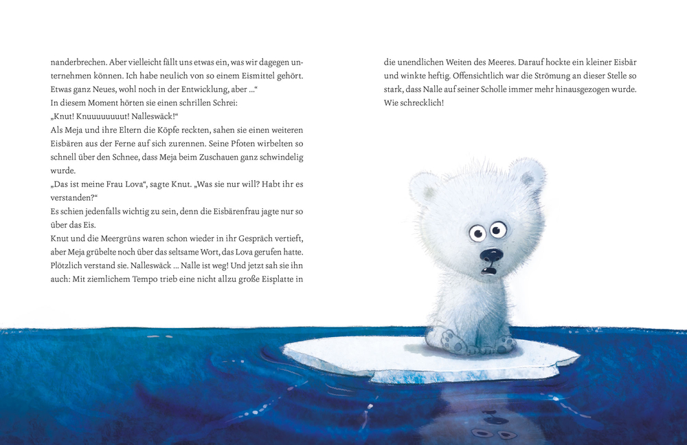 Meja Meergrün(Bd. 5) Meja Meergrün(Bd. 5)