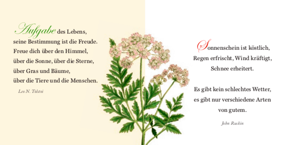 BiblioPhilia: Freude soll dich stets begleiten - Sammlung Augustina