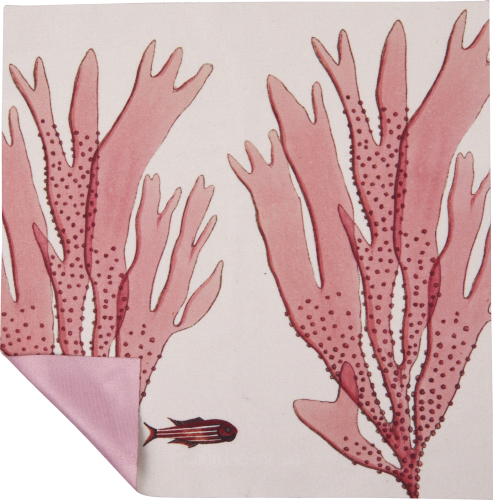 Brillenetui mit Putztuch Fische "I love my Ocean", hell