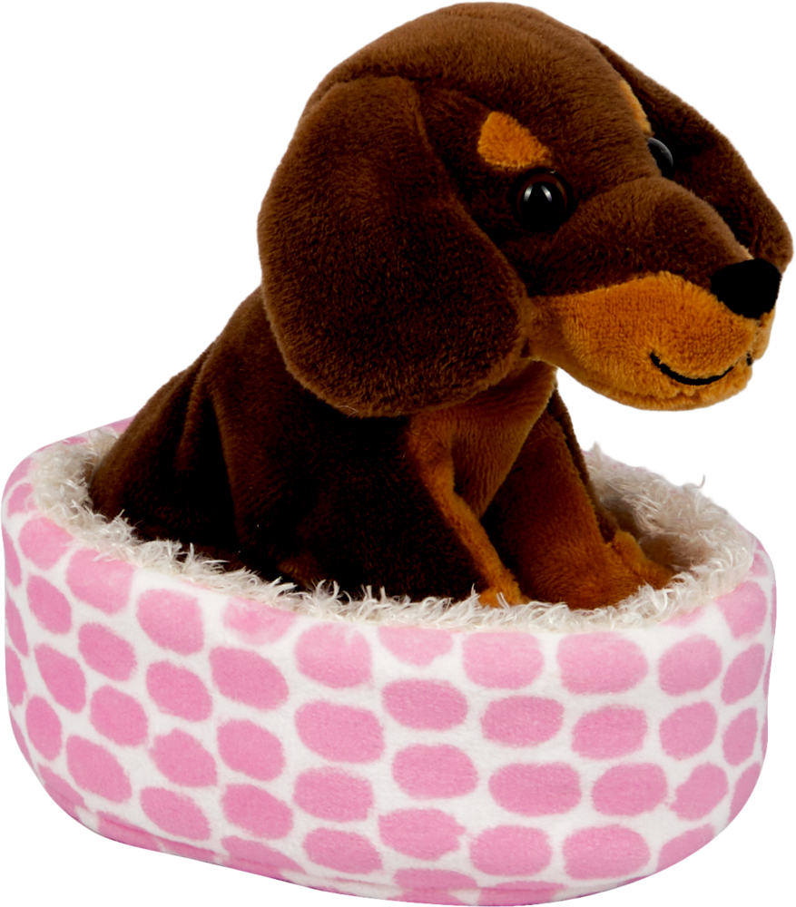 Dackel Watson im Korb - Lustige Tierparade