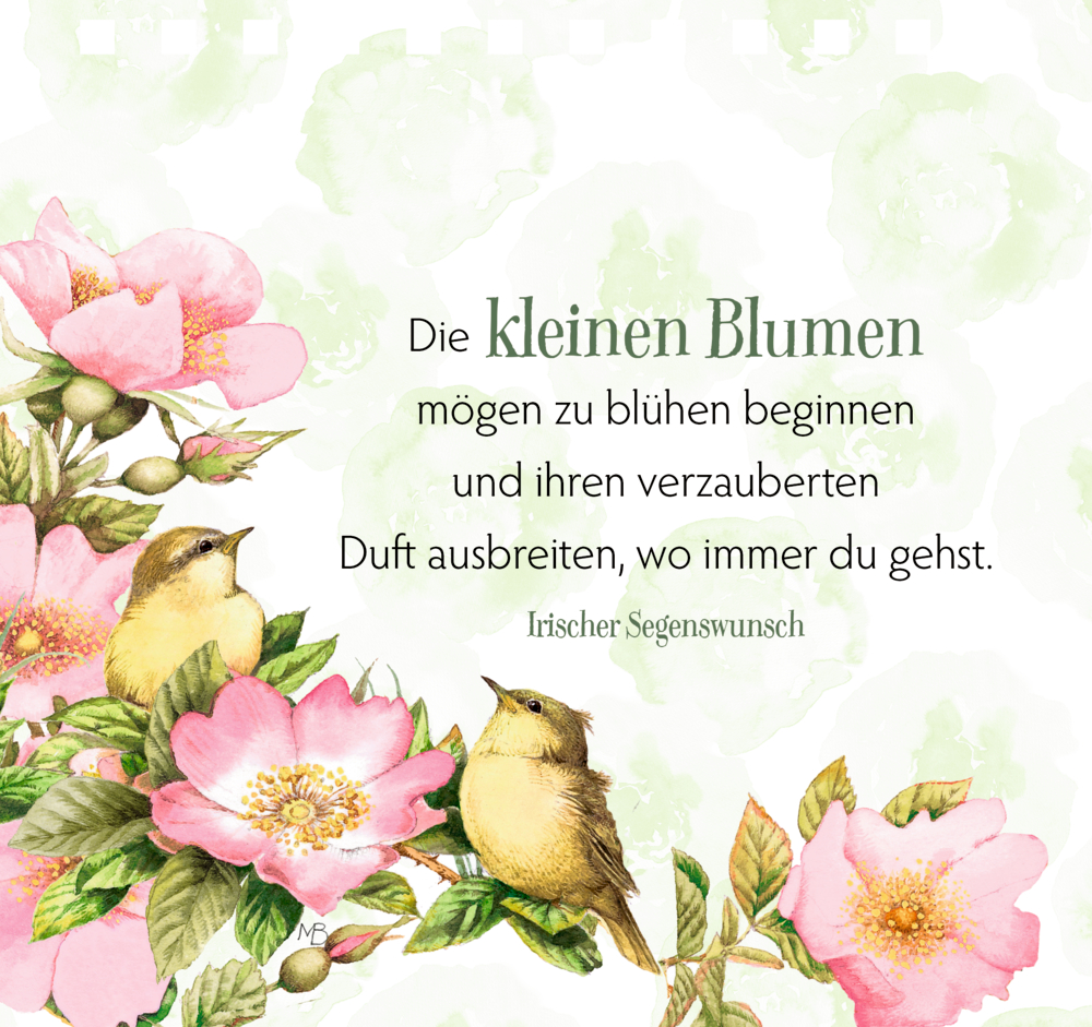 Zwei Vögel zwischen rosa Blumen, daneben ein irischer Segenswunsch , auf einer Seite.