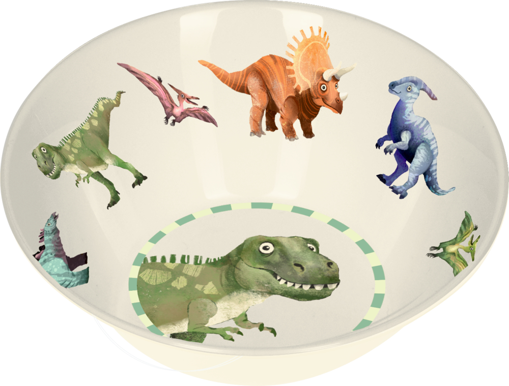Schale - Dino Friends Weiße Schüssel mit bunten Dinosauriern wie T. Rex, Triceratops und Pterodaktylus.