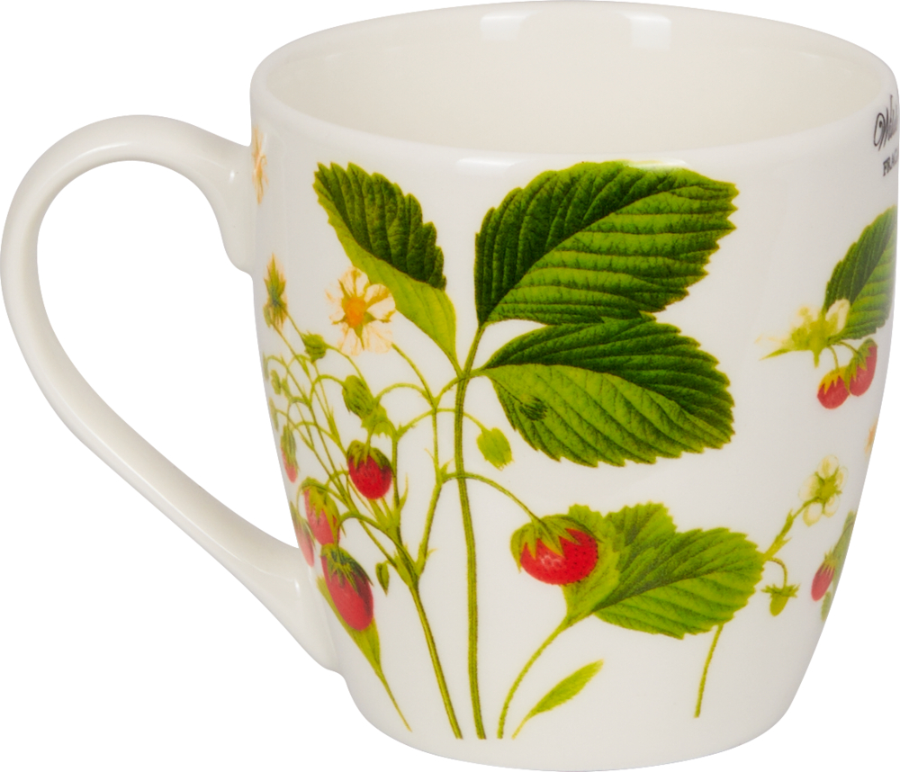 Porzellan-Tasse "Erdbeeren" - Sammlung Augustina