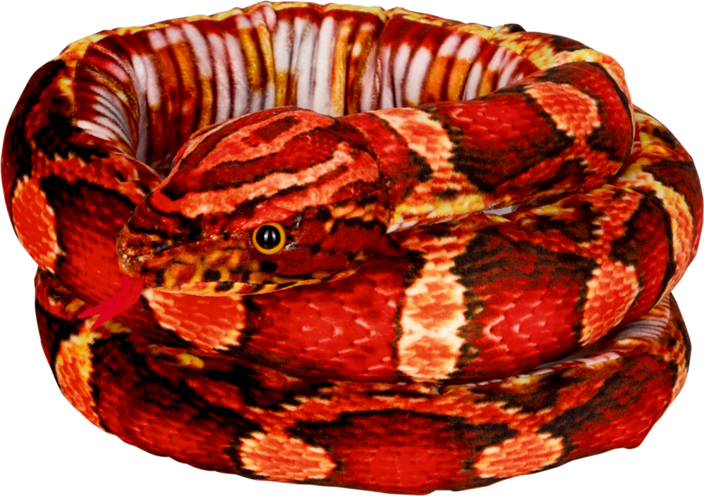 Eine zusammengerollte rot-orange Schlange mit schwarzen und gelben Markierungen streckt ihre Zunge heraus.