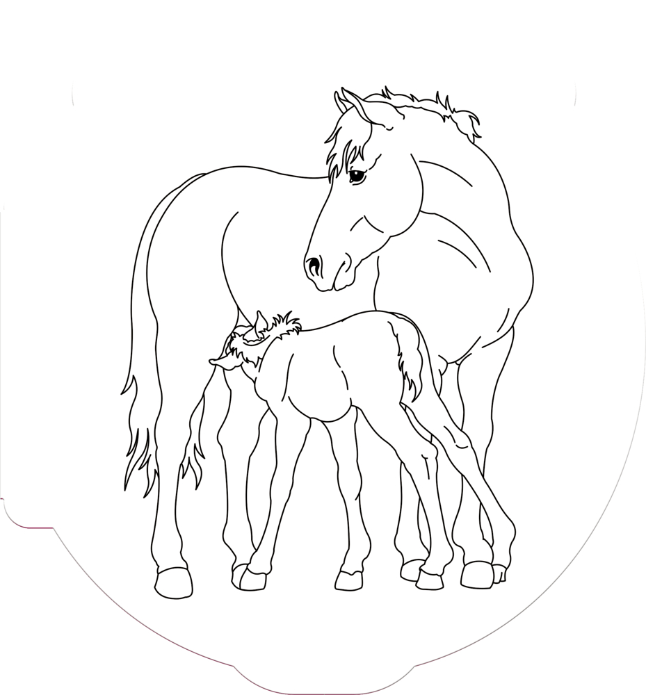 Ausmalbild eine Stute steht, Fohlen säugt darunter und beide blicken nach links.