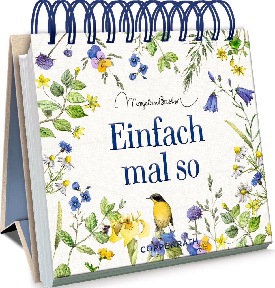Kleines Spiralaufstellbuch: Einfach mal so (Bastin) Spiralaufstellbuch mit Blumen, einem Vogel und dem Spruch „Einfach mal so“ auf dem Cover.