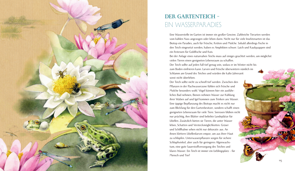 Inspirationen: Schmetterling, Hummel und Maikäfer (Bastin)