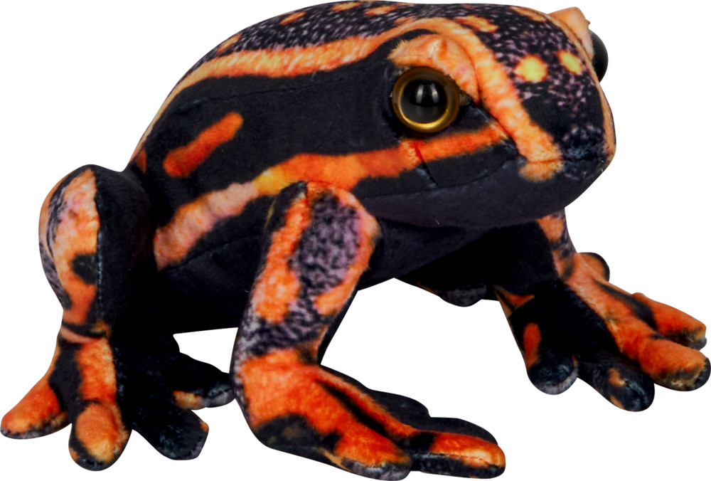 Pfeilgiftfrosch - Nature Zoom Wild