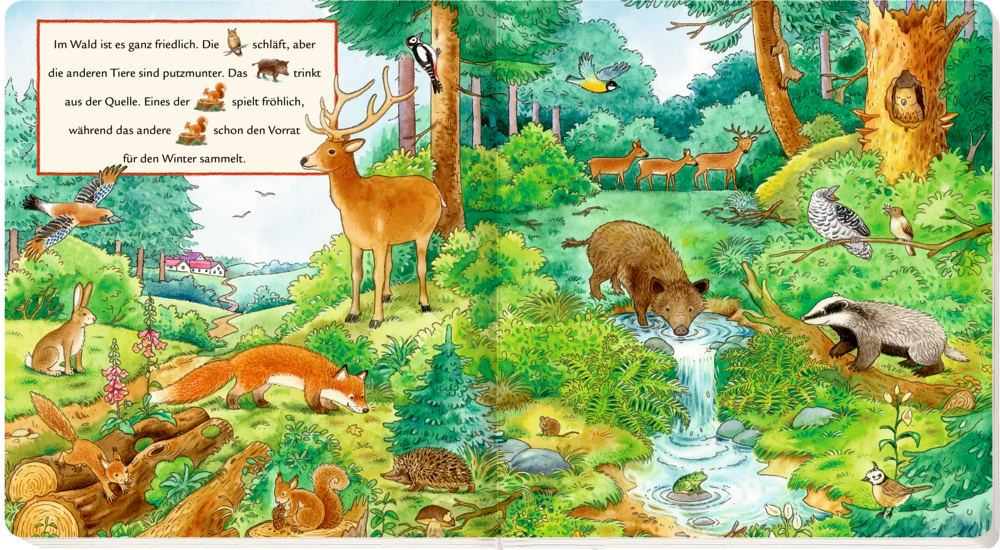 Buchinnenseite mit Waldszene: Verschiedene Tiere an einem Bach, umgeben von üppigen Bäumen und Pflanzen.