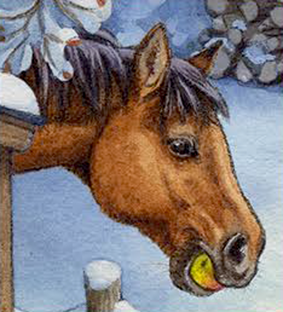 Ein braunes Pferd mit einem gelben Apfel im Maul steht im Schnee.