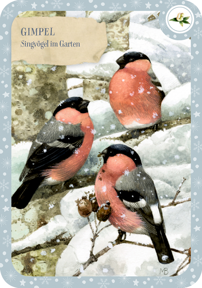 Drei rotbrüstige Vögel sitzen auf schneebedeckten Ästen; Text: Gimpel – Singvögel im Garten.