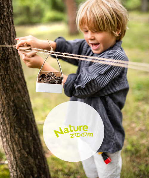 Nature Zoom Banner: Junge spielt im Wald mit selbstgebautem Seilzug