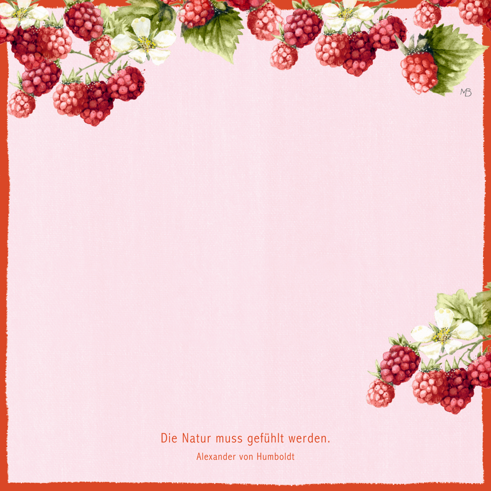 Rote Himbeeren und grüne Blätter umranden einen rosa Hintergrund, unten steht ein kurzer Text in schwarzer Schrift.