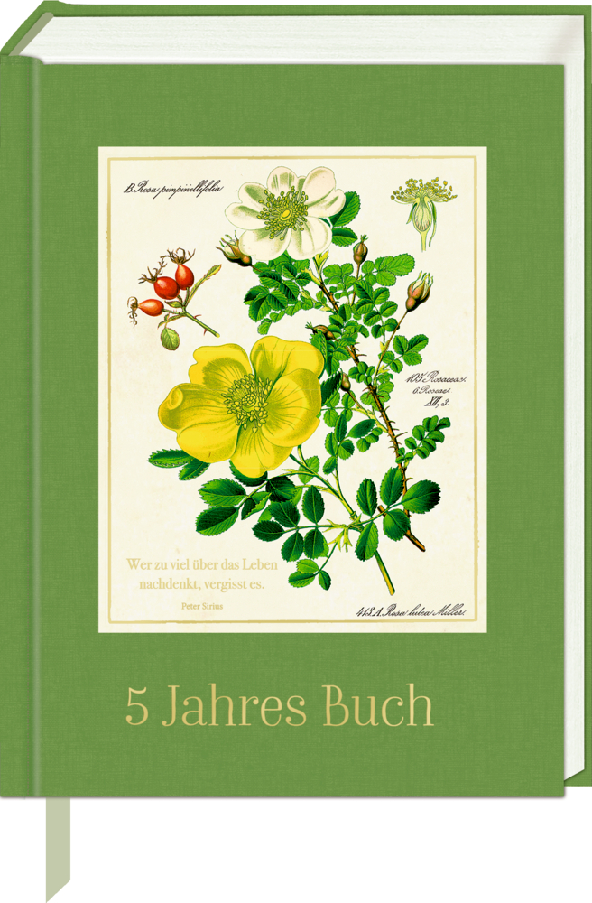 Chronik: 5 JahresBuch (AUGUSTINA)
