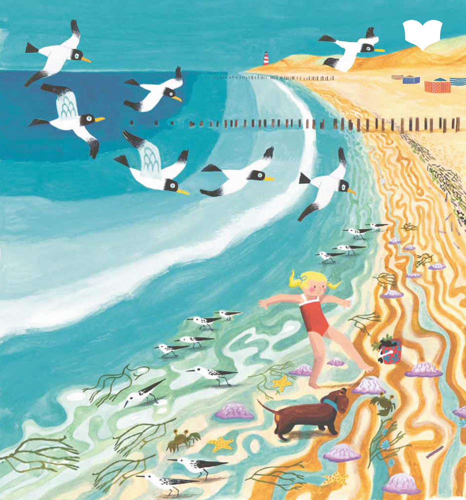 Ein Mädchen und ein Hund spazieren am bunten Strand, Vögel fliegen und Muscheln liegen im Sand.