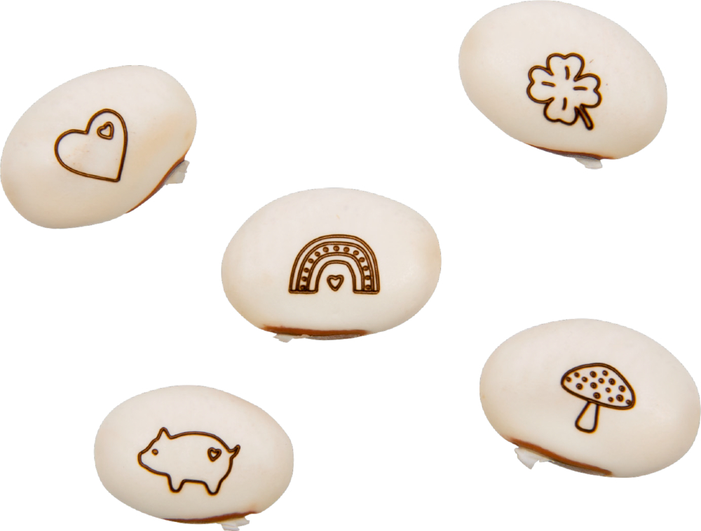 Fünf weiße Bohnen mit einfachen schwarzen Illustrationen: Herz, Klee, Regenbogen, Schwein und Pilz.
