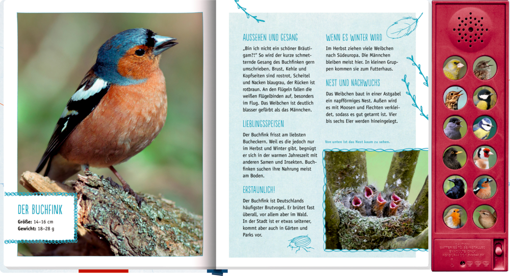 Links: Ein bunter Vogel sitzt auf einem Ast. Rechts: Texte und Vogelabbildungen auf einer Kinderbuchseite.