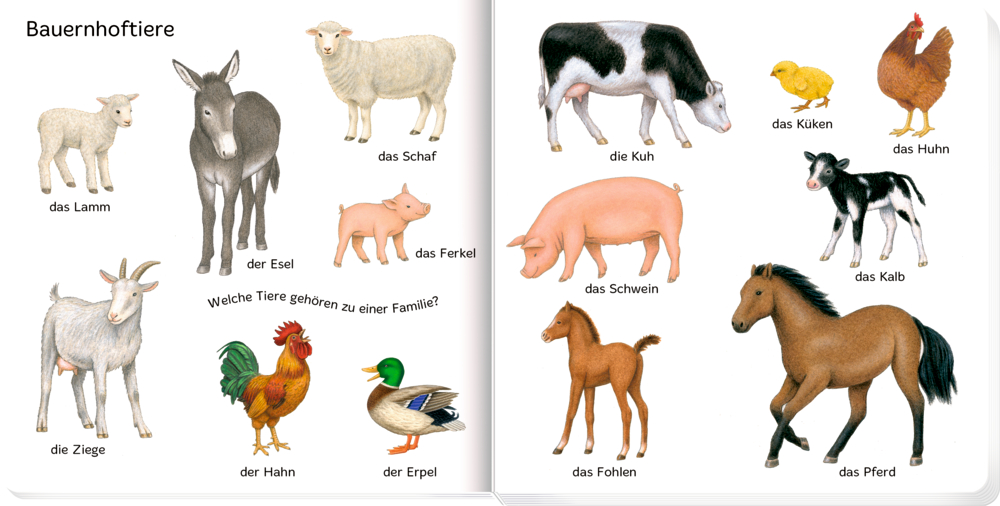 Bilder suchen - Wörter finden: 100 erste Tiere!
