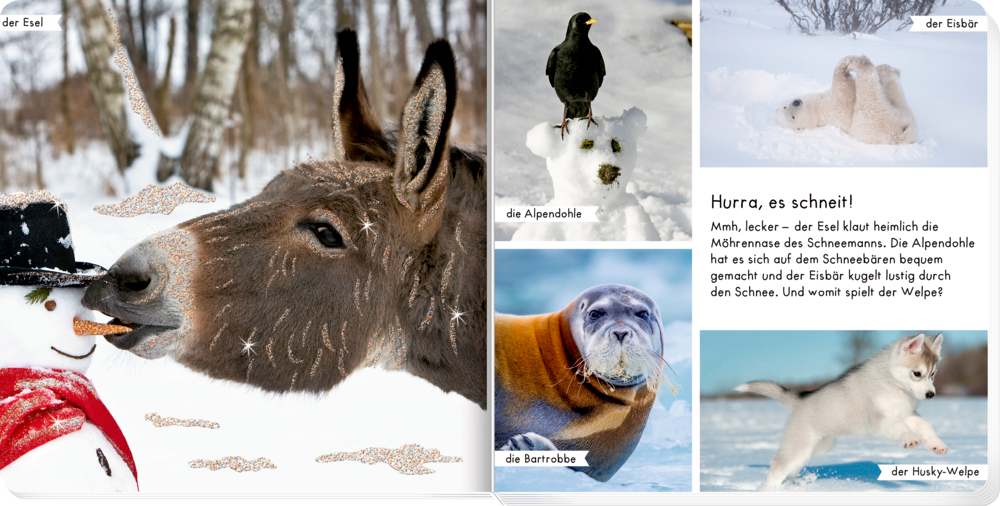Tierfotos mit Esel, der Karottennase eines Schneemanns frisst, daneben Alpendohle, Eisbär, Bartrobbe und Husky-Welpe im Schnee.