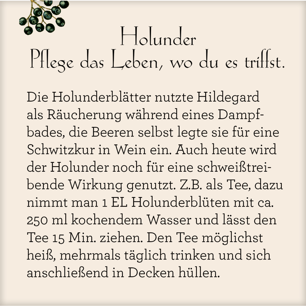 Leben mit der Natur - Hildegard von Bingen, Wand-Adventskalender (Behr)