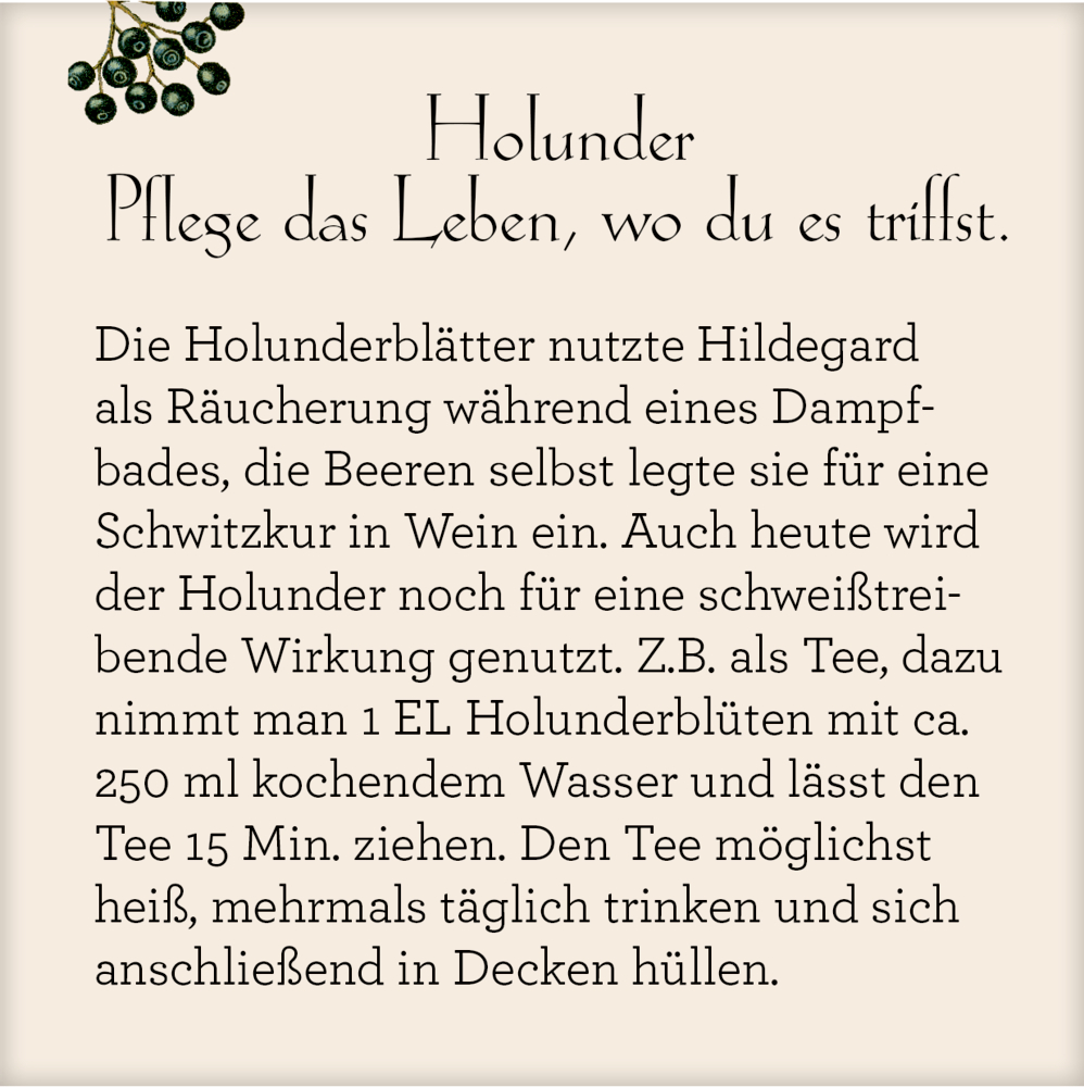 Leben mit der Natur - Hildegard von Bingen, Wand-Adventskalender (Behr) Leben mit der Natur - Hildegard von Bingen, Wand-Adventskalender (Behr)