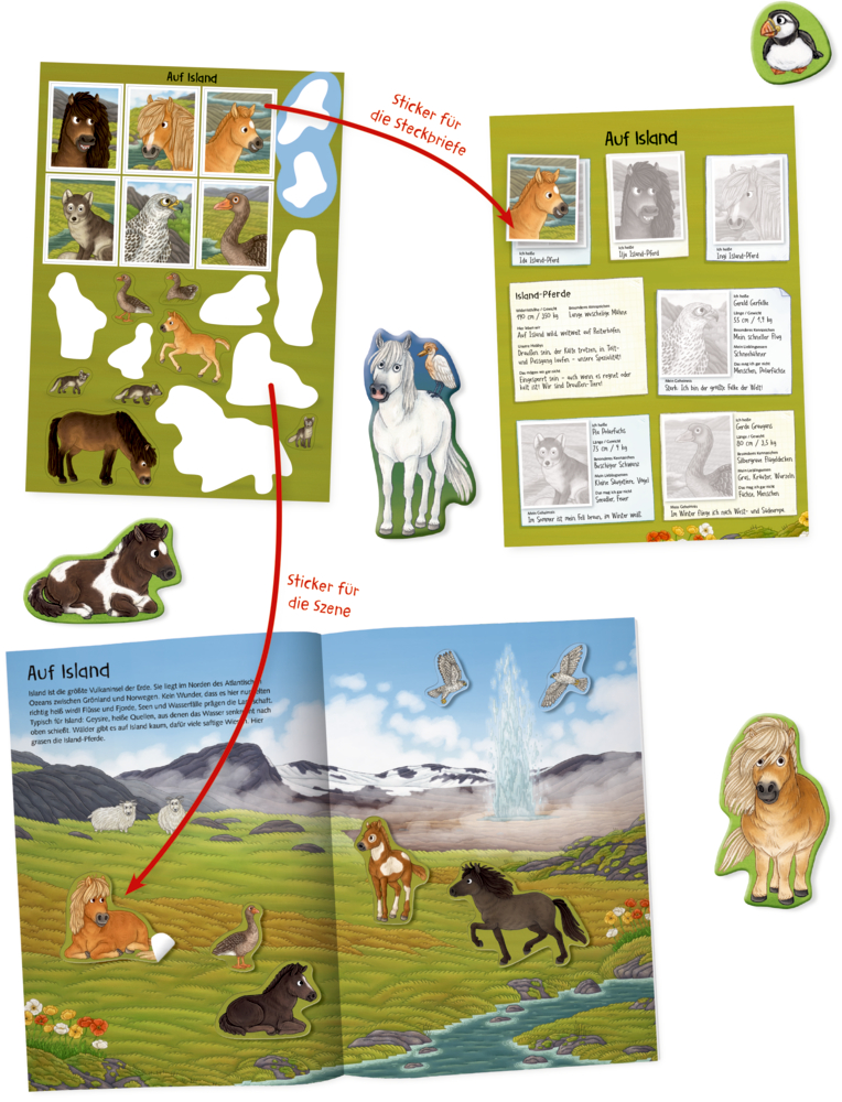 Natur-Stickerwelt: Pferde und Ponys (Nature Zoom)