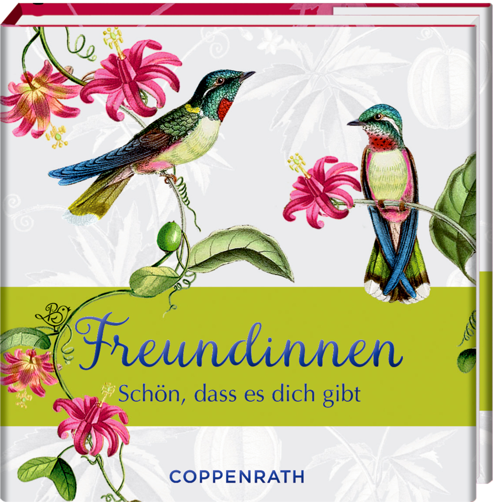 BiblioPhilia: Freundinnen (B. Behr)