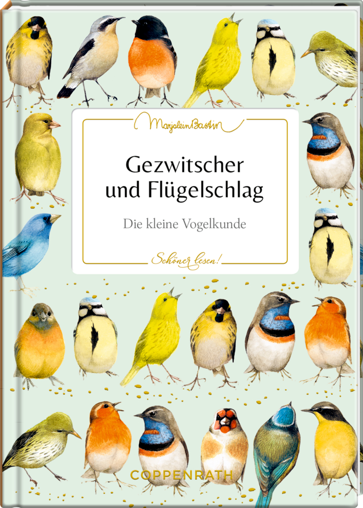 Schöner lesen! No.43: Gezwitscher & Flügelschlag - M.Bastin Illustrierte Vögel verschiedener Arten auf hellgrünem Hintergrund, auf dem Cover von "Gezwitscher und Flügelschlag".