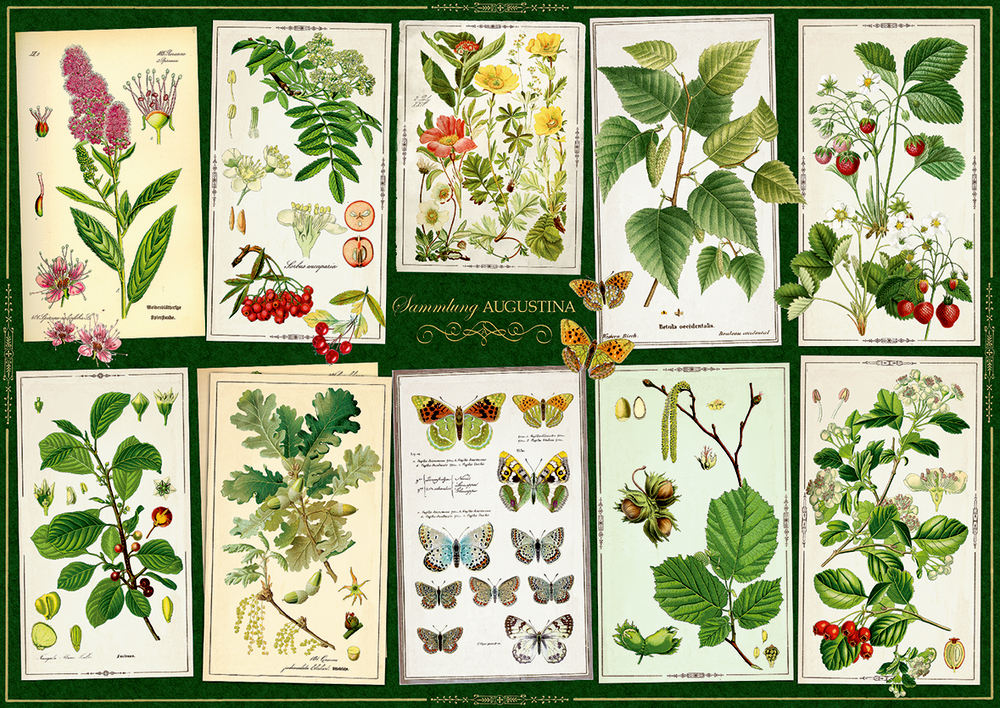 Puzzle - Sammlung Augustina (1000 Teile)