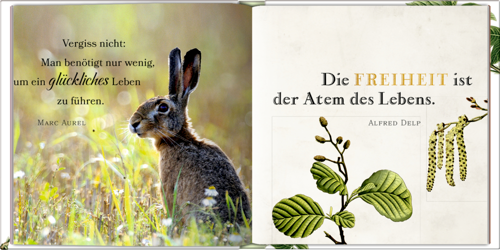 Coffeetable-Buch: Jeder Tag ist schön - Sammlung Augustina
