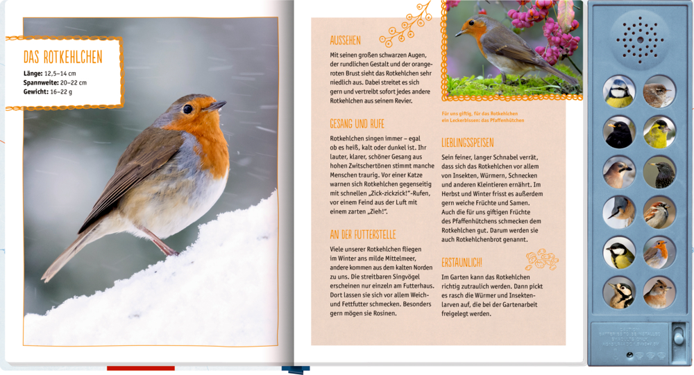 Ein EichelhÃ¤her steht auf Schnee; Vogelinformationen und Soundbuttons erscheinen auf der rechten Seite.