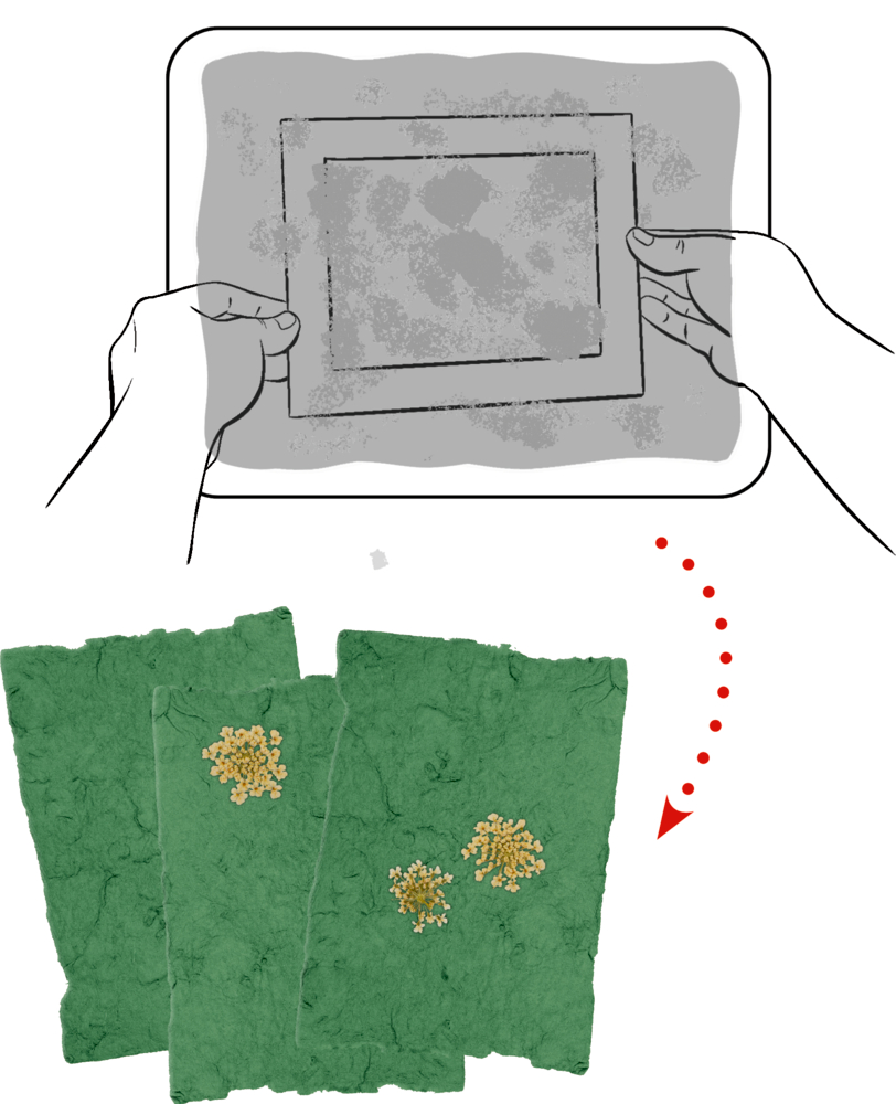 Hände heben einen Rahmen von einem Tablett mit grünen Papierblättern; ein roter gepunkteter Pfeil zeigt nach unten.