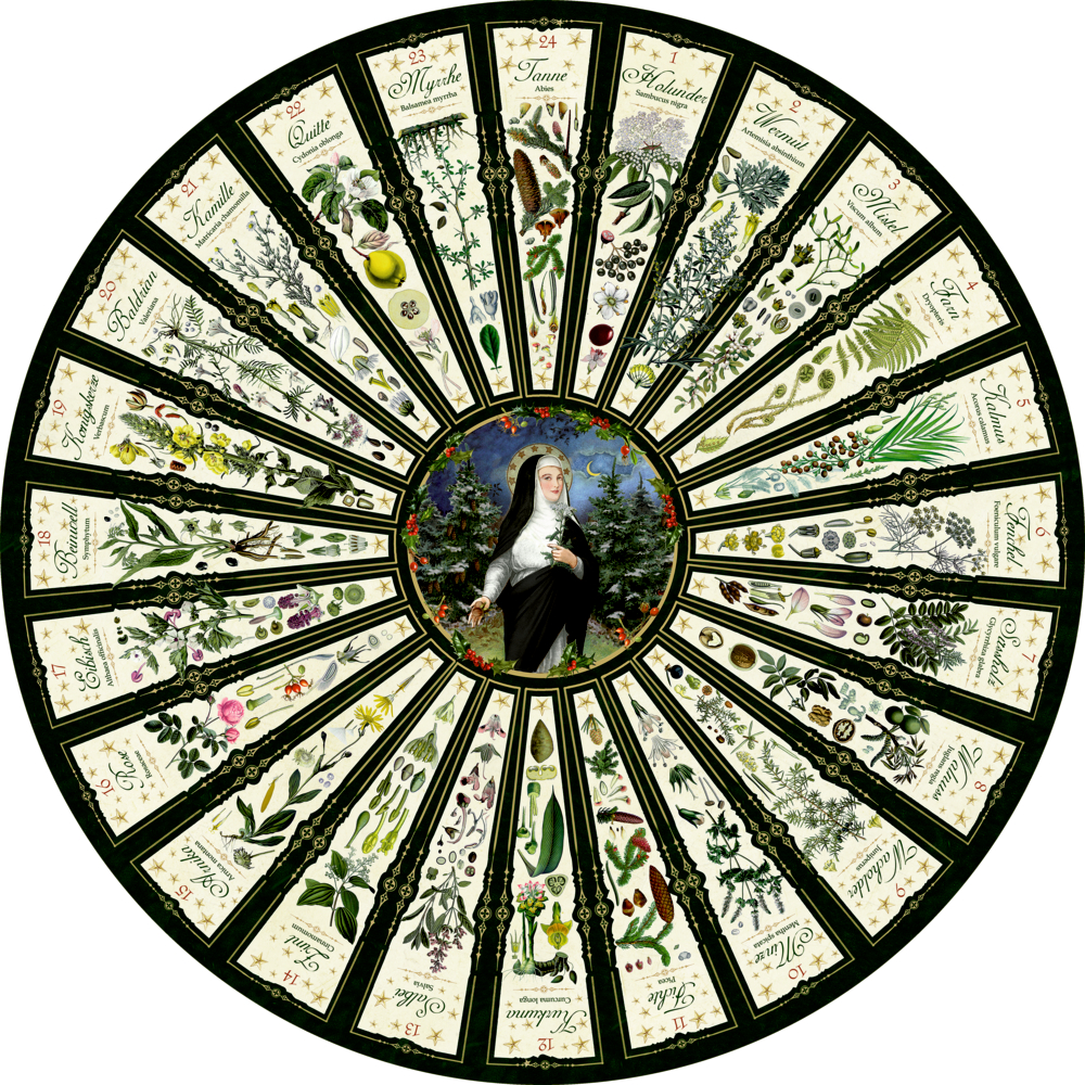 Leben mit der Natur - Hildegard von Bingen, Wand-Adventskalender (Behr) Leben mit der Natur - Hildegard von Bingen, Wand-Adventskalender (Behr)