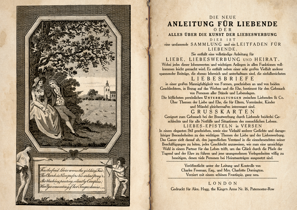 Überredung: Die Liebe der Anne Elliot - Roman von Jane Austen & Klassiker der Weltliteratur als hochwertige Schmuckausgabe  mit Illustrationen von Marjolein Bastin