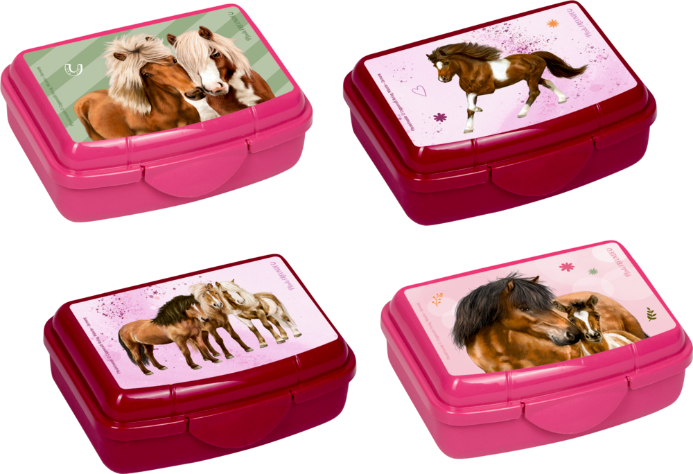 Mini-Snackbox - Pferdefreunde