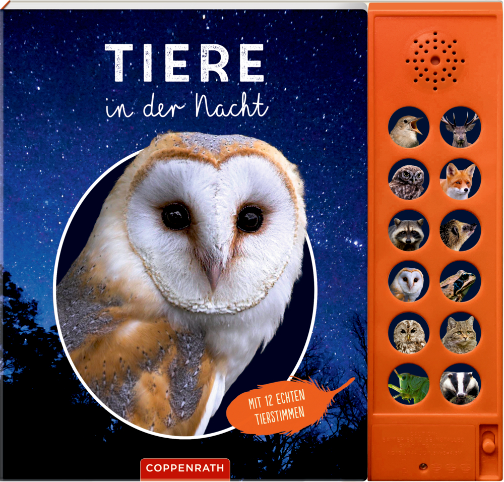 Tiere in der Nacht (Soundbuch)