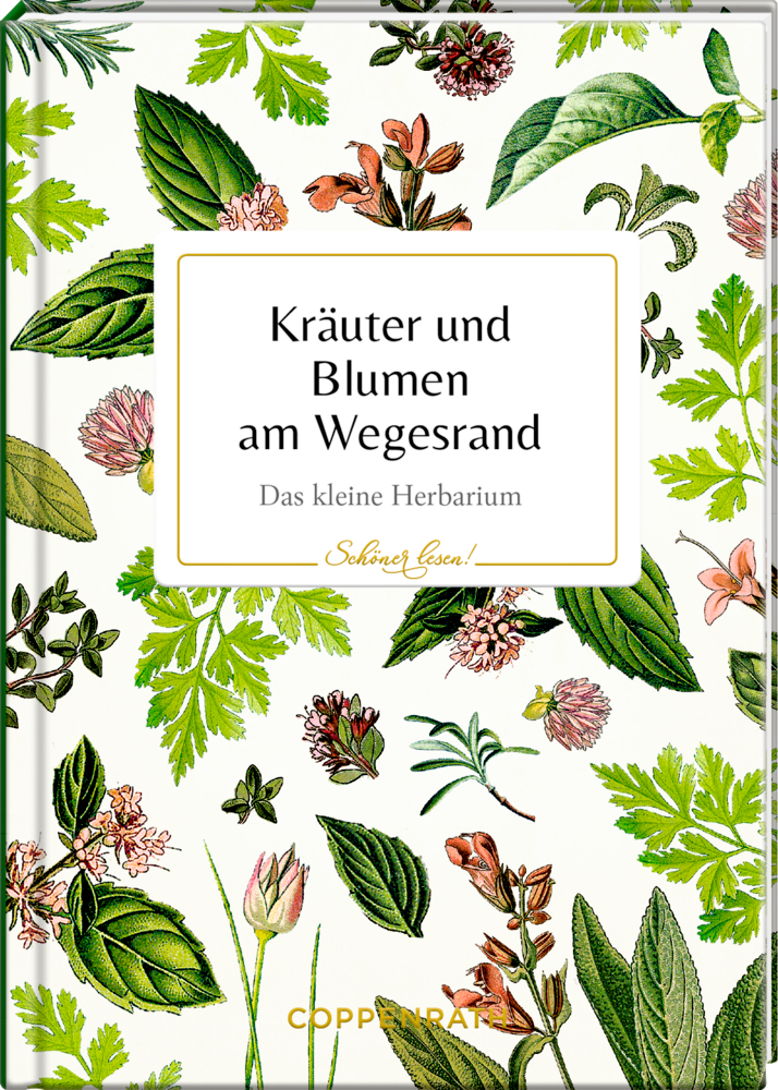 Schöner lesen! No.49: Kräuter & Blumen am Wegesrand (AUGUSTINA) Buchcover mit illustrierten Kräutern und Wildblumen, mit Titel "Kräuter und Blumen am Wegesrand".