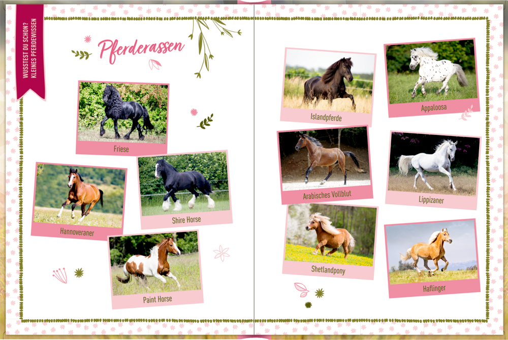 Eintragbuch: I LOVE MY HORSE (Lieblingspferd+ich)