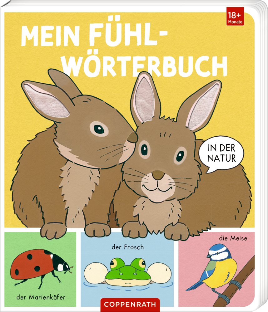 Mein Fühl-Wörterbuch: In der Natur (Fühlen&begreifen) Cover eines illustrierten Kinderbuchs "Mein Fühl-Wörterbuch" mit zwei Kaninchen, einem Marienkäfer, Frosch und Blaumeise.