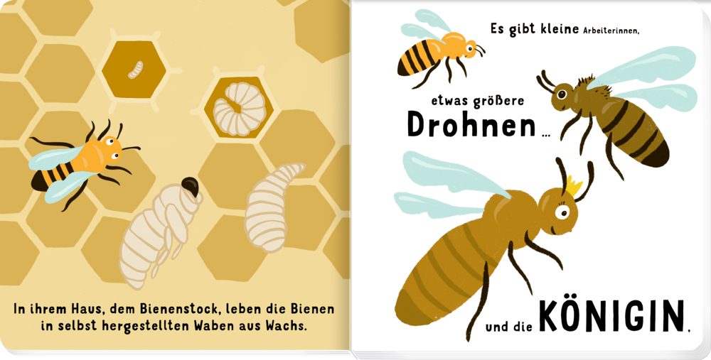 Unsere Bienenfreunde