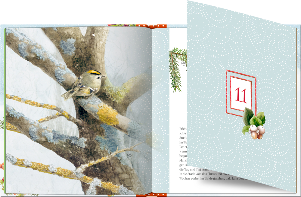 Adventskalenderbuch: Zauberhafte Weihnachtszeit! (M.Bastin) Adventskalenderbuch: Zauberhafte Weihnachtszeit! (M.Bastin)