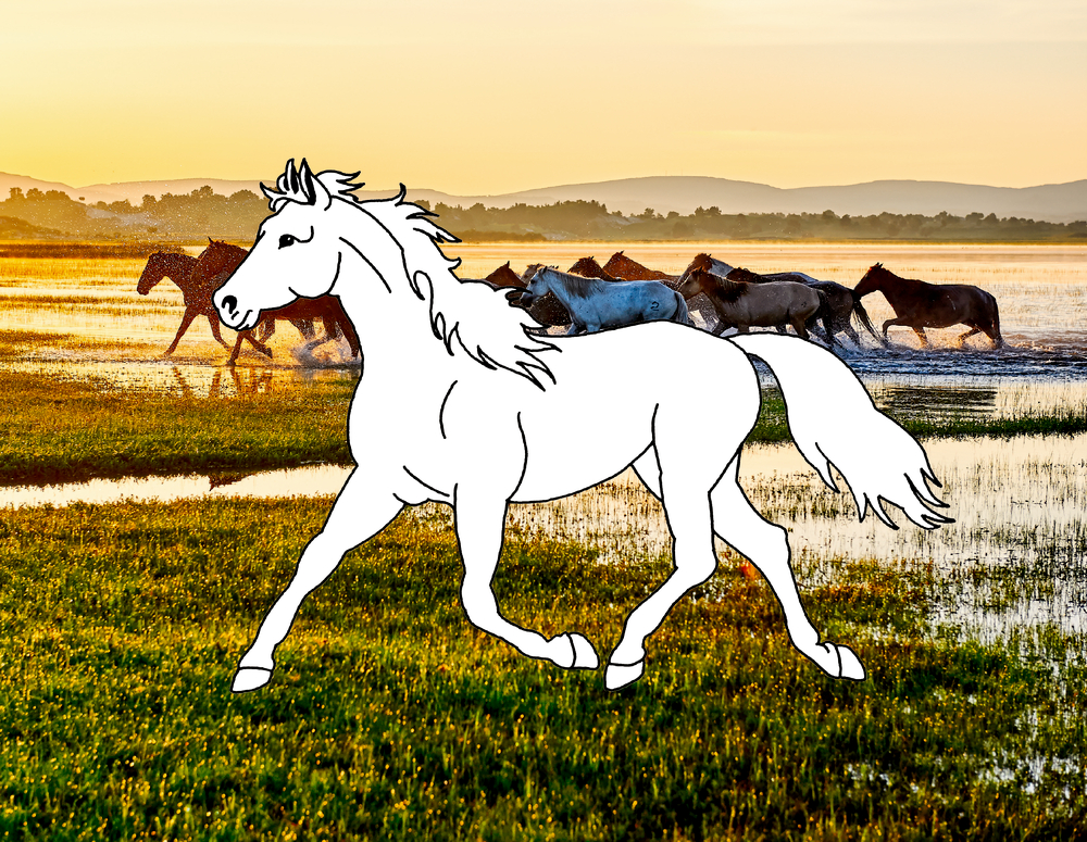 Ausmalpferd vor einem Foto von Pferden, die bei Sonnenuntergang über eine Wiese rennen.
