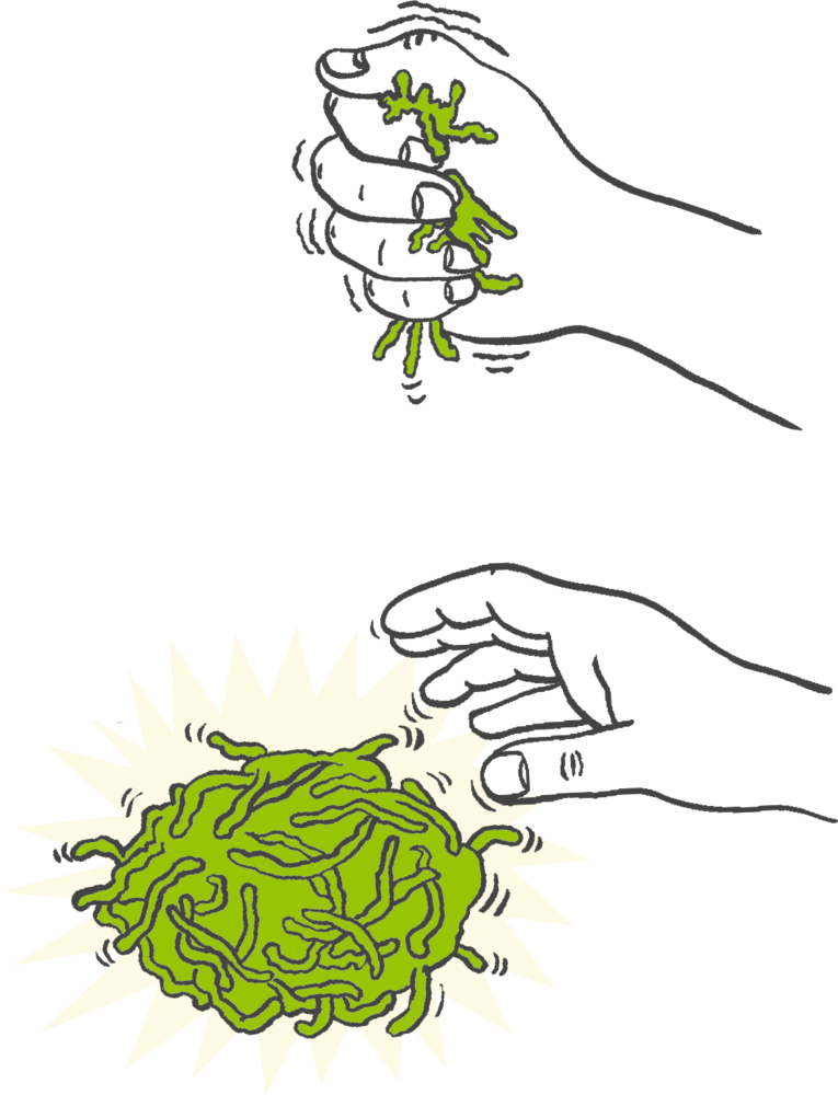 Zeichnung einer Hand, die grünes weiches Material zusammendrückt, darunter Abbildung einer Hand über einem grünen Haufen aus Kunstmarden.