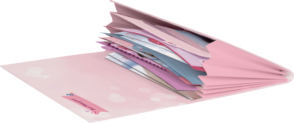 Rosafarbene Innenansicht einer Mappe mit Fächern und verschiedenen Blättern im Inneren.