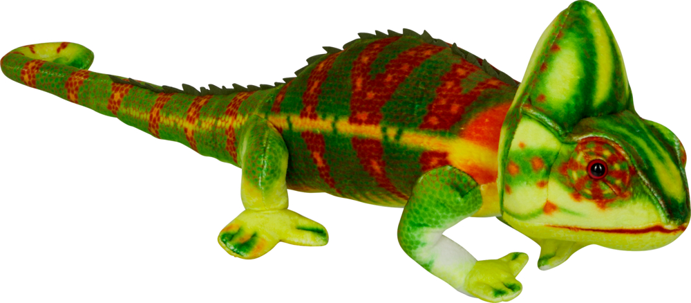 Chamäleon - Nature Zoom Wild